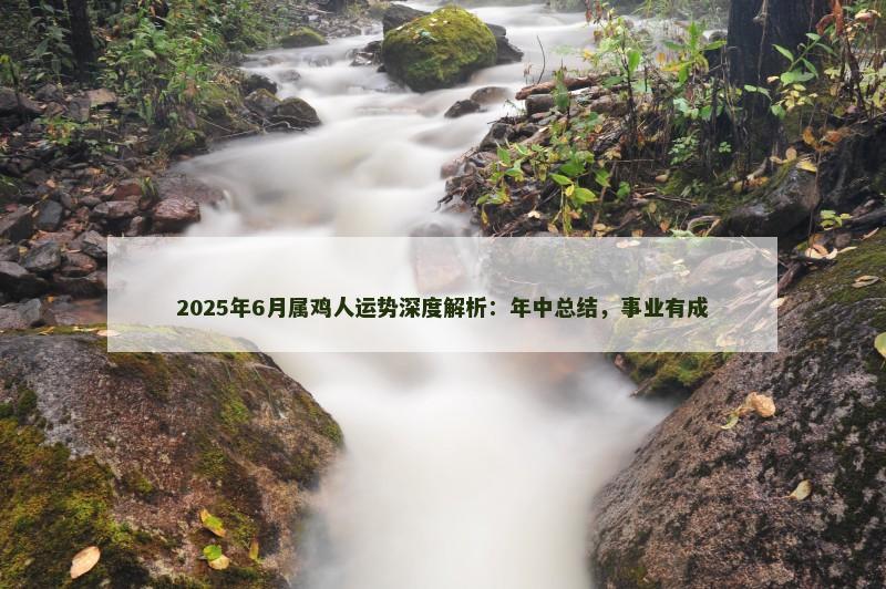 2025年6月属鸡人运势深度解析：年中总结，事业有成