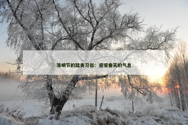 清明节的踏青习俗：感受春天的气息