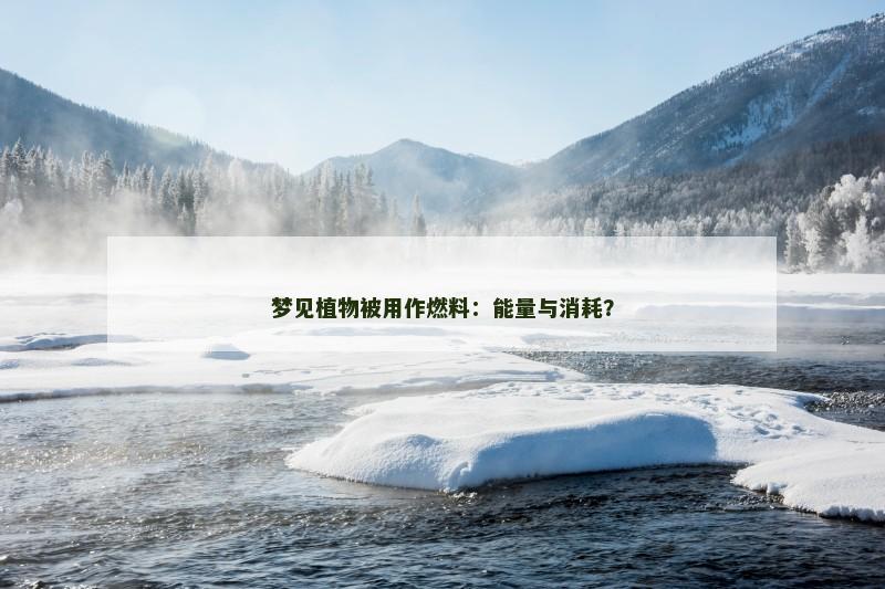 梦见植物被用作燃料：能量与消耗？