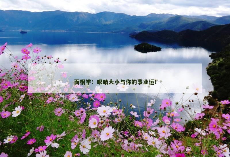 面相学：眼睛大小与你的事业运！