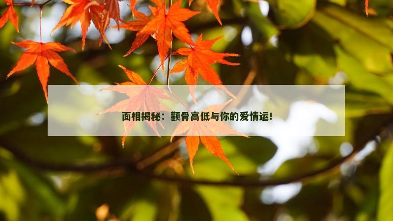 面相揭秘：颧骨高低与你的爱情运！