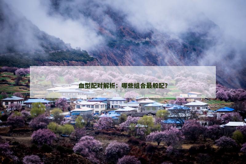 血型配对解析：哪些组合最般配？