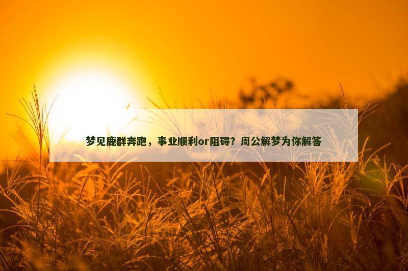 梦见鹿群奔跑，事业顺利or阻碍？周公解梦为你解答