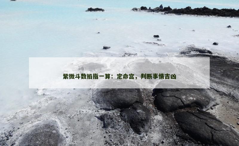 紫微斗数掐指一算：定命宫，判断事情吉凶
