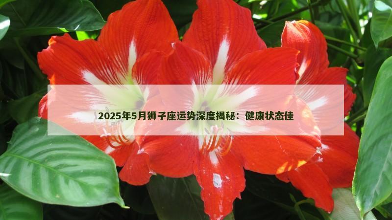 2025年5月狮子座运势深度揭秘：健康状态佳