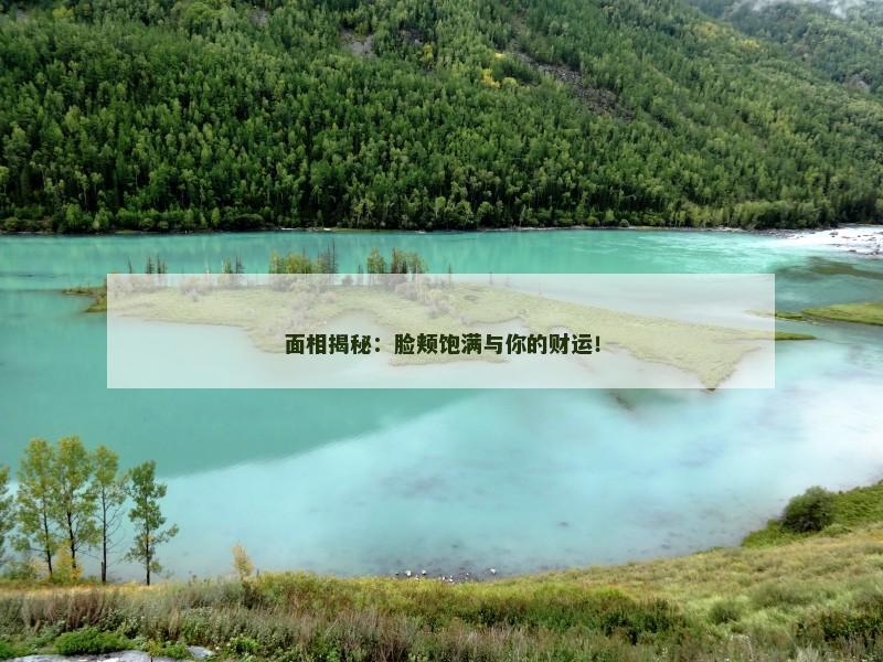 面相揭秘：脸颊饱满与你的财运！
