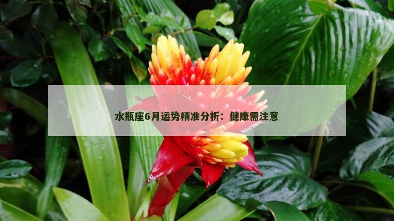 水瓶座6月运势精准分析：健康需注意