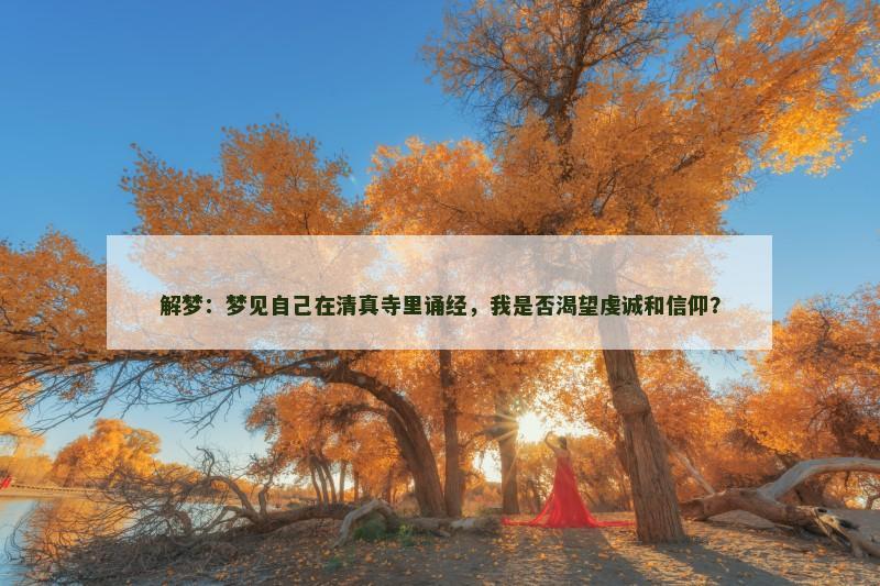 解梦：梦见自己在清真寺里诵经，我是否渴望虔诚和信仰？
