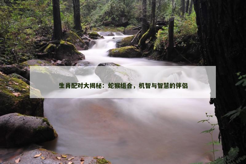 生肖配对大揭秘：蛇猴组合，机智与智慧的伴侣