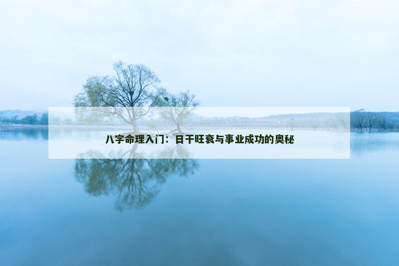 八字命理入门：日干旺衰与事业成功的奥秘