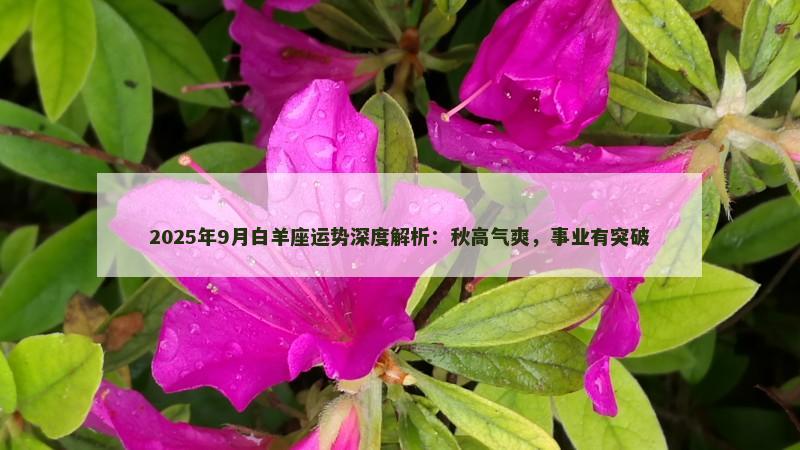 2025年9月白羊座运势深度解析：秋高气爽，事业有突破
