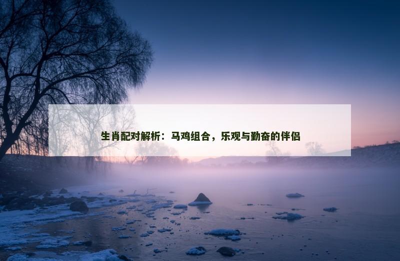 生肖配对解析：马鸡组合，乐观与勤奋的伴侣