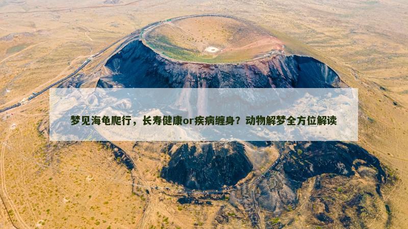 梦见海龟爬行，长寿健康or疾病缠身？动物解梦全方位解读