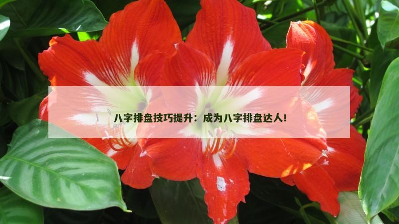 八字排盘技巧提升：成为八字排盘达人！
