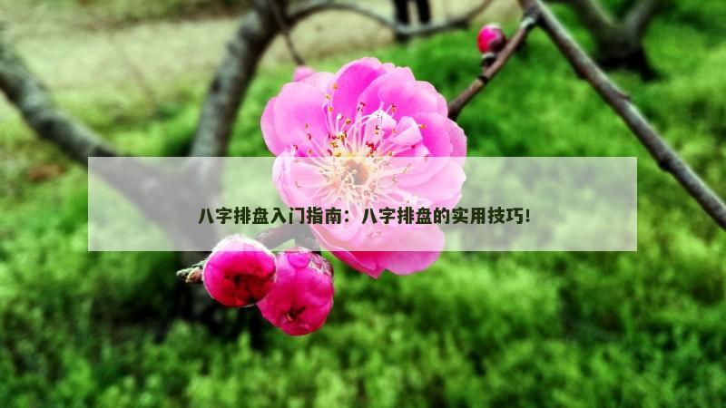 八字排盘入门指南：八字排盘的实用技巧！