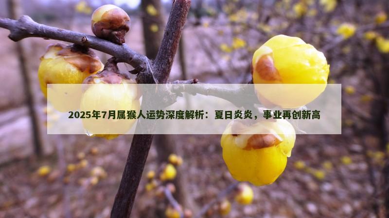 2025年7月属猴人运势深度解析：夏日炎炎，事业再创新高