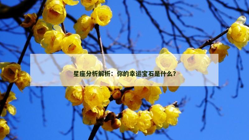 星座分析解析：你的幸运宝石是什么？