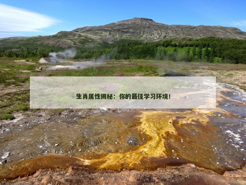 生肖属性揭秘：你的最佳学习环境！