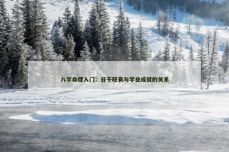 八字命理入门：日干旺衰与学业成就的关系