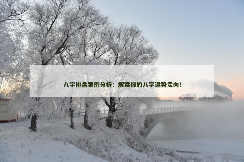 八字排盘案例分析：解读你的八字运势走向！