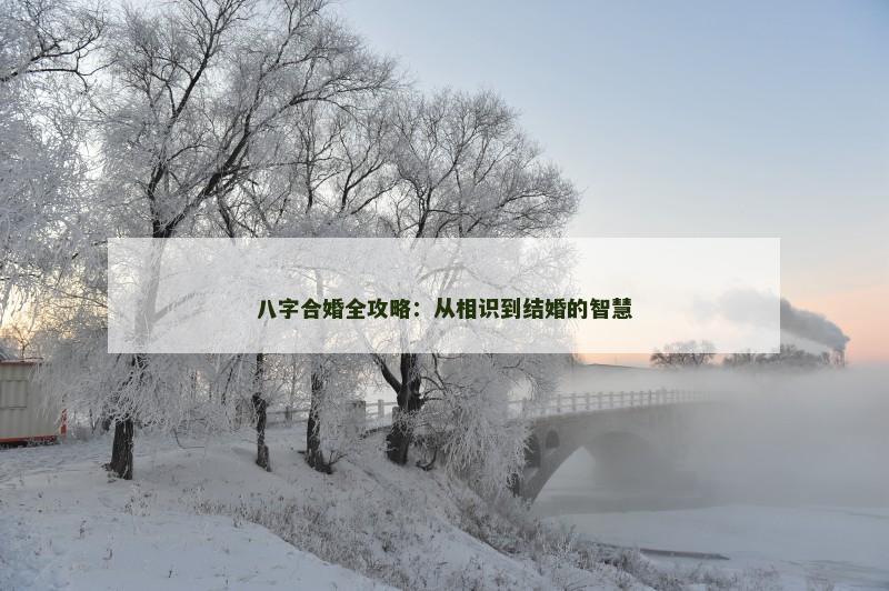 八字合婚全攻略：从相识到结婚的智慧