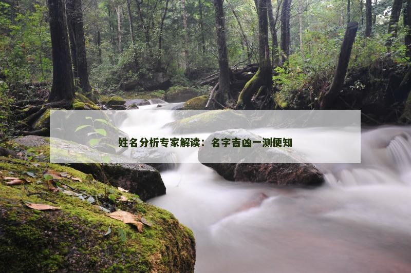 姓名分析专家解读：名字吉凶一测便知