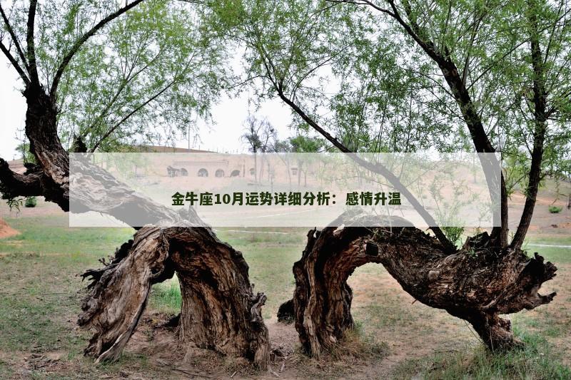 金牛座10月运势详细分析：感情升温
