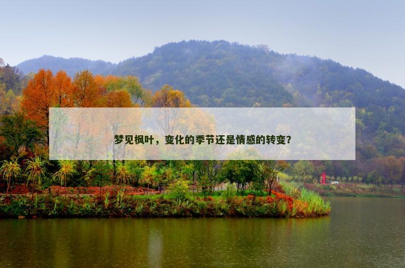 梦见枫叶，变化的季节还是情感的转变？