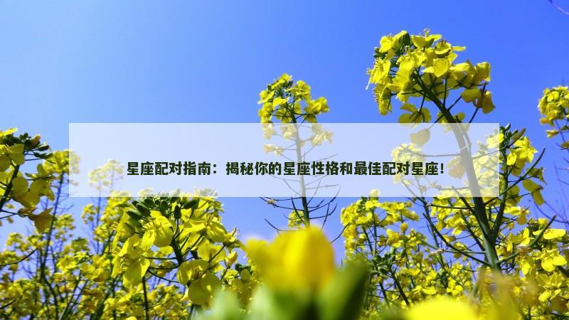 星座配对指南：揭秘你的星座性格和最佳配对星座！