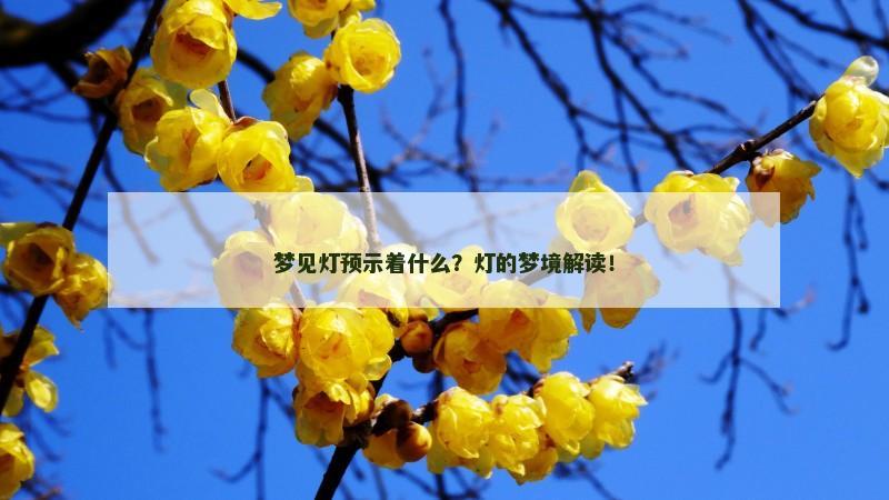 梦见灯预示着什么？灯的梦境解读！