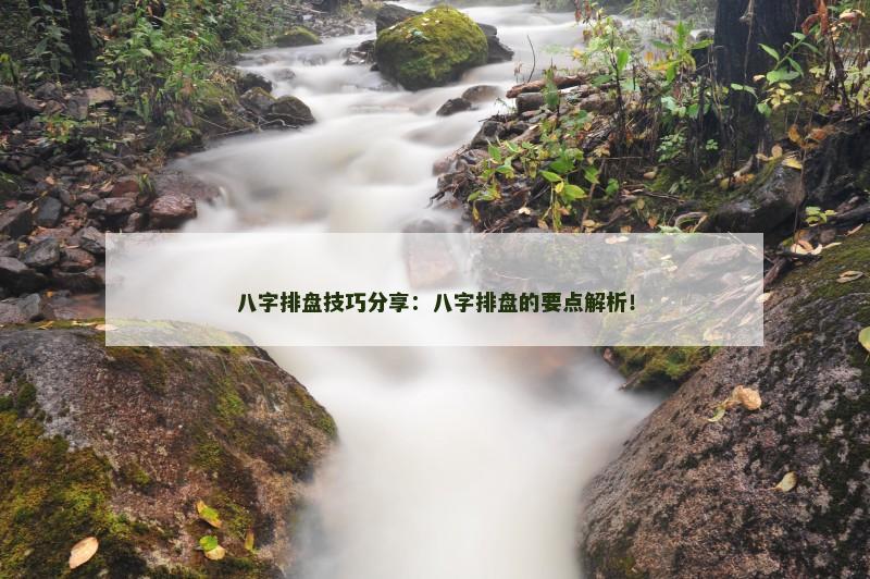 八字排盘技巧分享：八字排盘的要点解析！