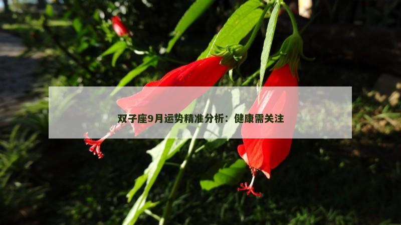 双子座9月运势精准分析：健康需关注