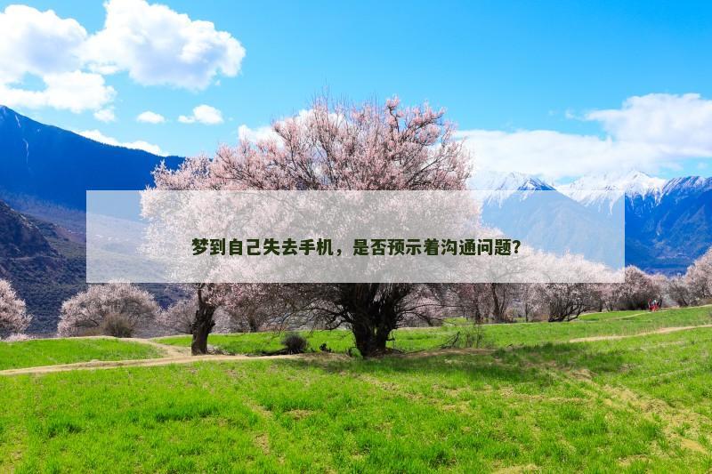 梦到自己失去手机，是否预示着沟通问题？