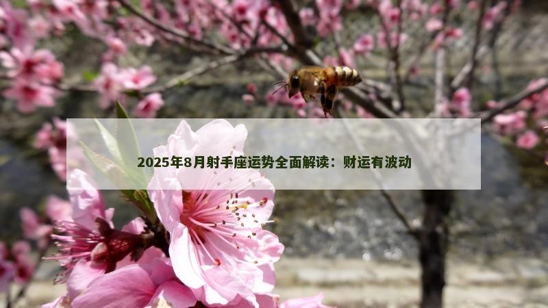 2025年8月射手座运势全面解读：财运有波动