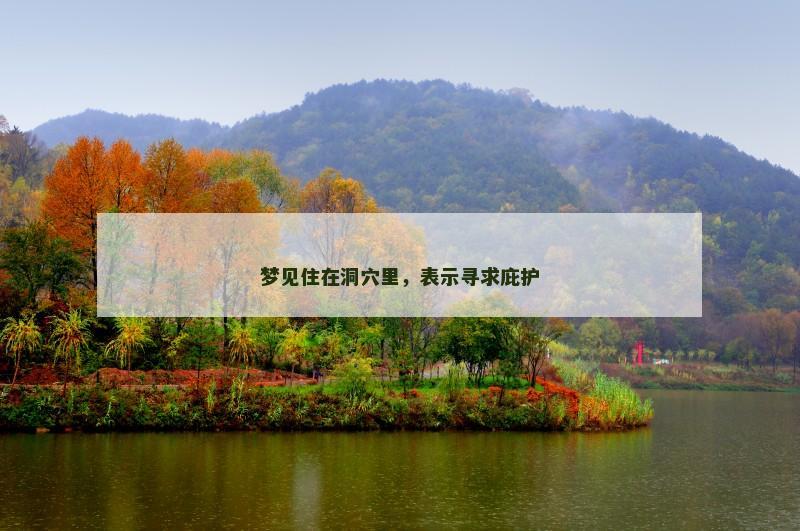 梦见住在洞穴里，表示寻求庇护