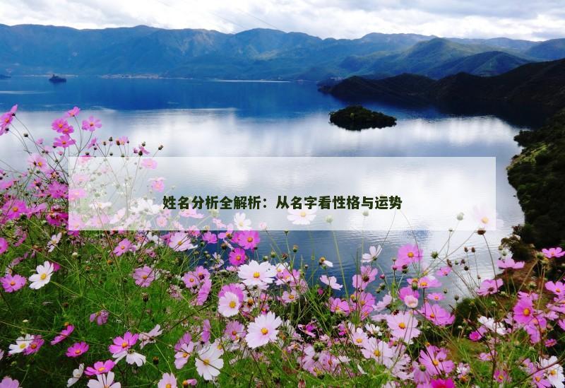 姓名分析全解析：从名字看性格与运势