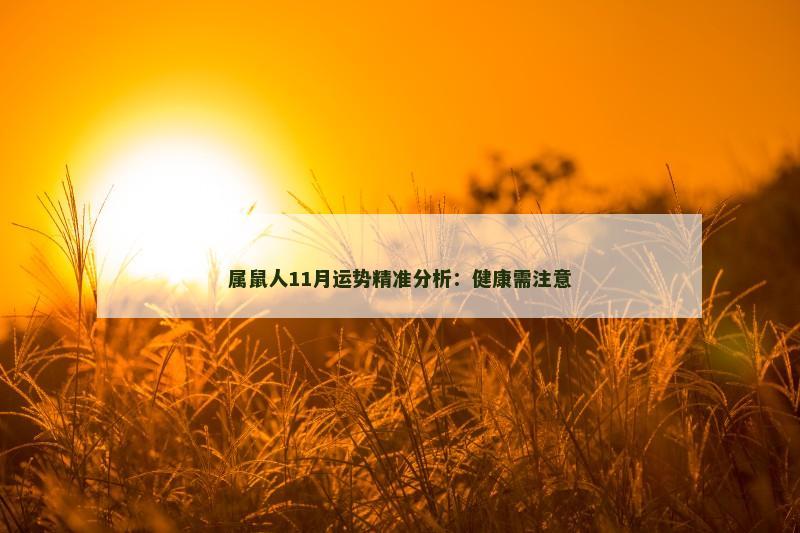 属鼠人11月运势精准分析：健康需注意