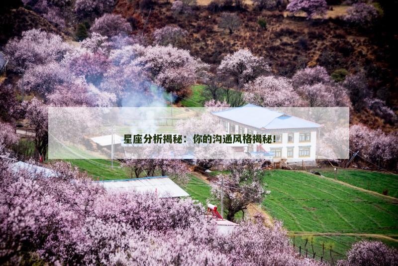 星座分析揭秘：你的沟通风格揭秘！