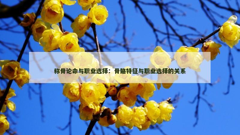 称骨论命与职业选择：骨骼特征与职业选择的关系