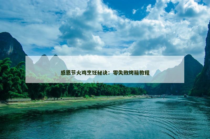 感恩节火鸡烹饪秘诀：零失败烤箱教程
