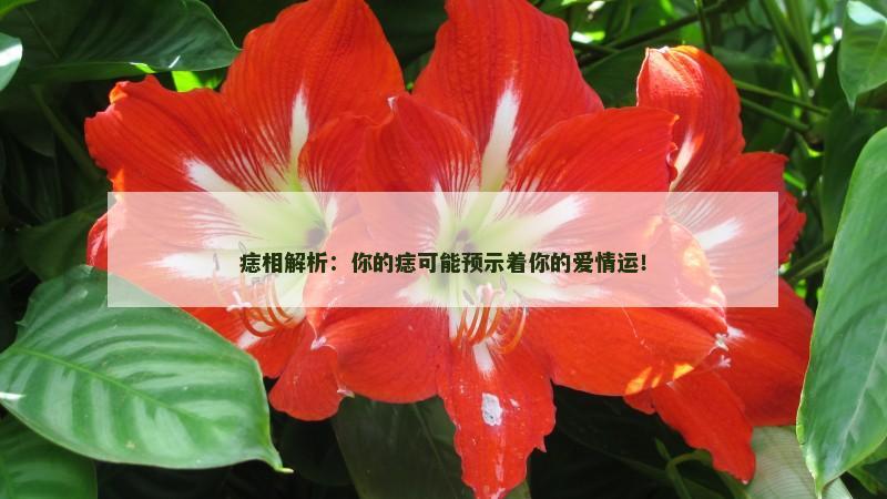 痣相解析：你的痣可能预示着你的爱情运！