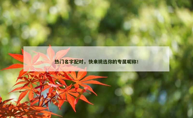 热门名字配对，快来挑选你的专属昵称！