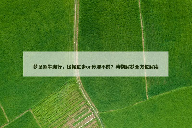 梦见蜗牛爬行，缓慢进步or停滞不前？动物解梦全方位解读