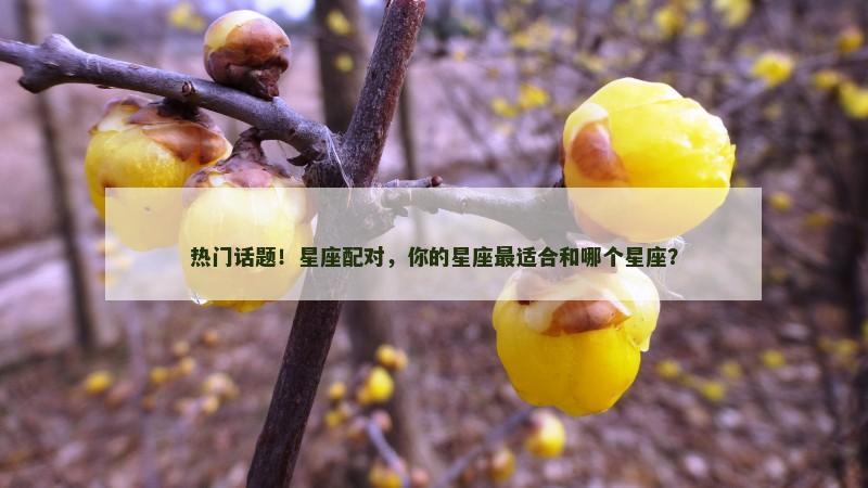 热门话题！星座配对，你的星座最适合和哪个星座？