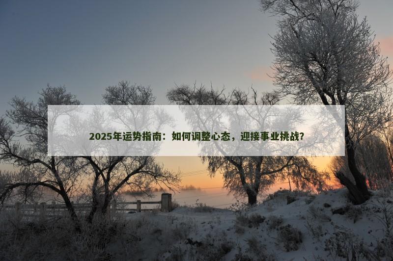 2025年运势指南：如何调整心态，迎接事业挑战？
