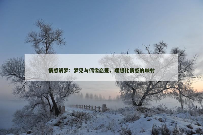 情感解梦：梦见与偶像恋爱，理想化情感的映射