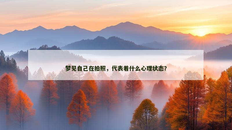 梦见自己在拍照，代表着什么心理状态？