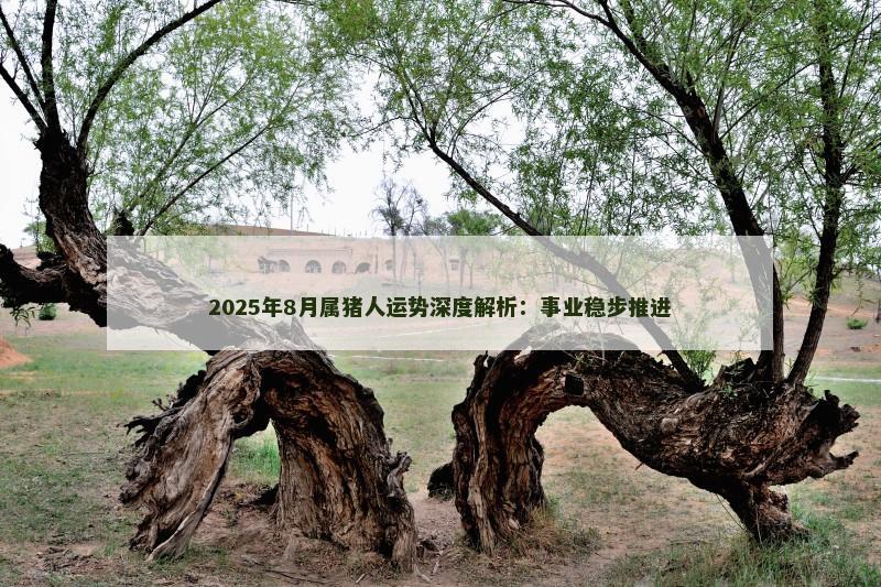 2025年8月属猪人运势深度解析：事业稳步推进