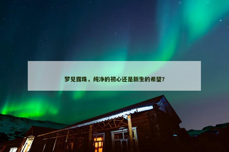梦见露珠，纯净的初心还是新生的希望？