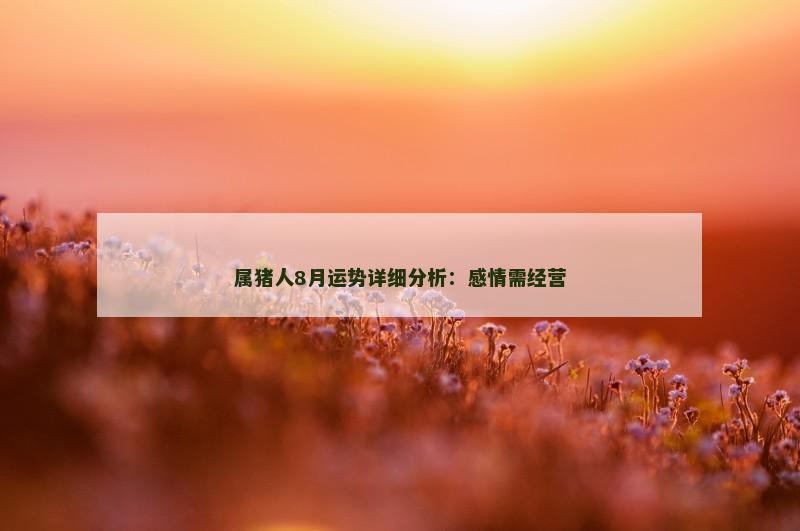属猪人8月运势详细分析：感情需经营